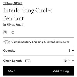 Tiffany & Co Interlocking Circles Necklace